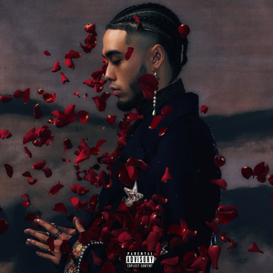 麻豆精品视频入口
