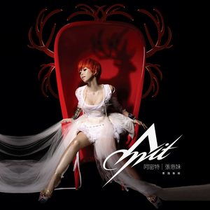 麻豆精品视频入口
