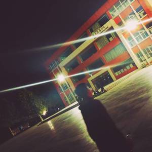 麻豆精品视频入口
