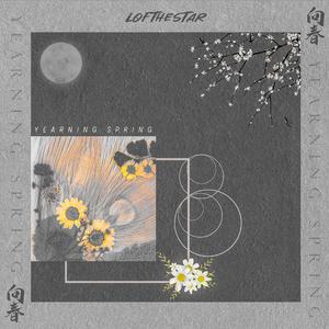 麻豆精品视频入口
